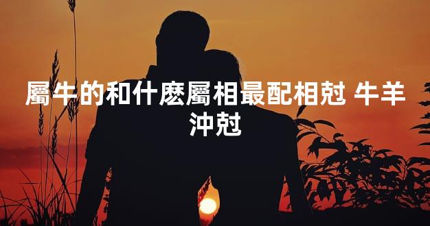 屬牛的和什麽屬相最配相尅 牛羊沖尅